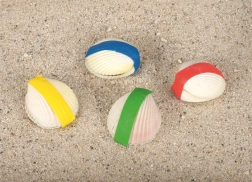 Magische schelp Goki