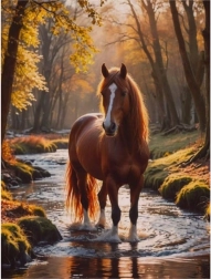 Diamantschilderen – paard in bosbeek 30 × 40 cm