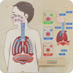 Houten leerkbord Ademhaling van Masterkidz
