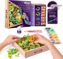 OKTO Energy creatieve boetseerset met vetplanten in een houten lijst
