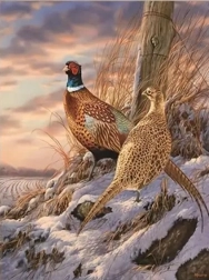 Diamond painting fazanten in de winter 30 × 40 cm