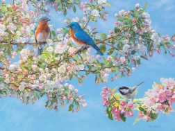 Puzzel Bloemenfestival XL 275 stukjes van Cobble Hill