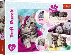 Trefl puzzel schattige kittens 160 stukjes