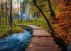 Puzzel RAVENSBURGER Mysterieus bos 1000 stukjes