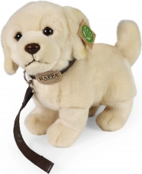 Pluchen hond Golden Retriever met riem 25 cm
