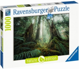Puzzel 1000 stukjes Bossen Ravensburger