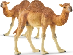 Schleich dromedaris – Wild Life-figuur