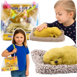 Slapende labrador op kussentje met zachte vacht en geluiden