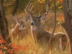 Puzzel Geheime Ontmoeting XL 275 stukjes COBBLE HILL