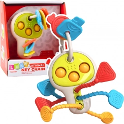 Sensorische sleutels voor baby’s met bewegende elementen