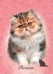 Puzzel Perzische kat 100 stukjes