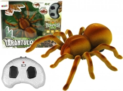 RC-tarantula met infraroodbediening – bruin
