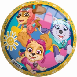 Bal PAW PATROL 23 cm parelmoer