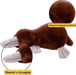 Bruine pluchen speelgoed vogelbekdier 32 cm