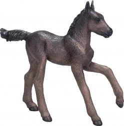 Mojo Arabisch veulen zwart