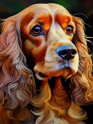 Diamantschilderen cocker spaniel 30 × 40 cm