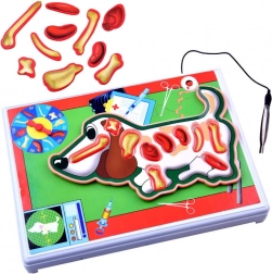 Elektronisch spel jonge dierenarts – hondje