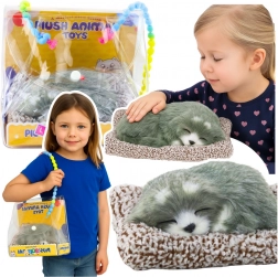 Slapende husky op een kussentje met zachte vacht en geluiden, draagtas