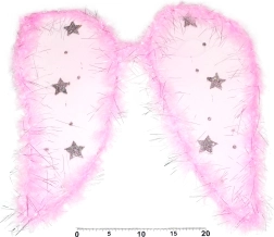 Carnavals engelenvleugels voor kinderen en volwassenen
