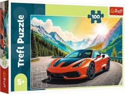 Puzzel 100 stukjes – race tegen de klok Trefl