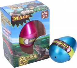 Groeiend krokodillenei 6,5 cm