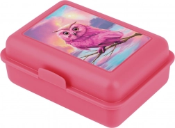 BAAGL lunchbox Uil