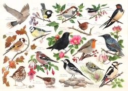 Puzzel Vogels in de Tuin - 1000 Stukken