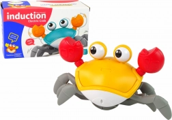 Interactieve bewegende krab met melodieën oranje