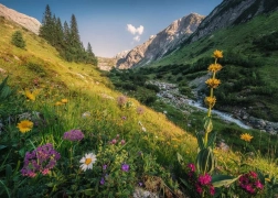 Puzzel Magische Wenkbrauwen 1000 stukjes