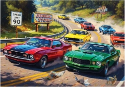 Puzzel Snelheidsliefhebber XL 260 stukjes