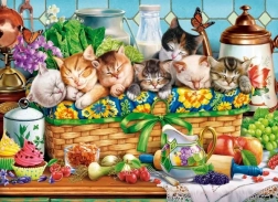 Puzzel Slapende Kittens