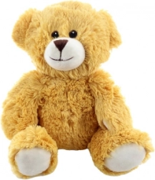 Pluchen teddybeer 22 cm