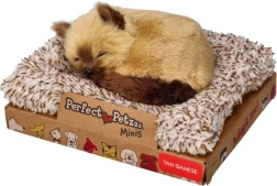 Perfect Petzzz kleine Siamese kitten