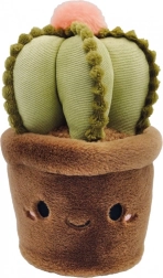 Cactus mascotte 23 cm