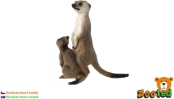 Meerkat met jong, donkerbruin