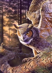 Puzzel Avondjager 1000 stukjes