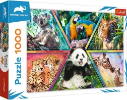 Puzzel 1000 stukjes – dierenrijk ANIMAL PLANET