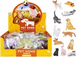 Educatieve dieren – honden en katten met kaartje en soortnaam