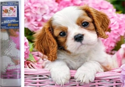 Diamond painting puppy in roze mand 30 × 40 cm