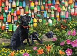 Puzzel COBBLE HILL Brave Jongens 500 stukjes