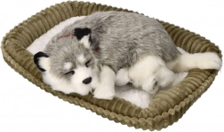 Ademend pluchen Alaska-husky-puppy
