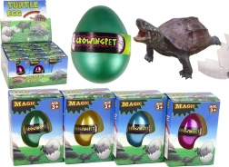Magisch ei met groeiende schildpad 6 cm