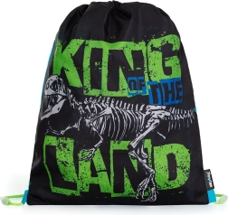 Premium gymschoentas dinosaurus