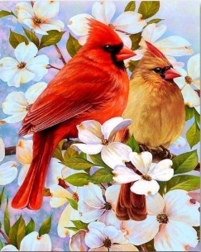 Diamantschilderen vogeltjes op een tak 30 × 40 cm