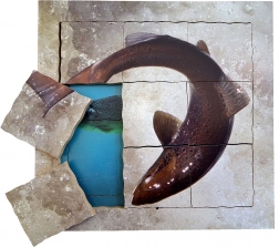 Just Jigsaws Zalm en zijn levenscyclus - houten gelaagde puzzel