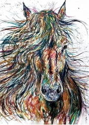 Puzzle ANATOLIAN Wind 500 stukjes