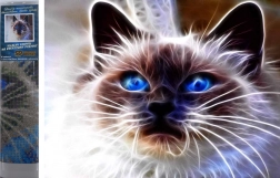 Diamond painting Kattenmagie 30 × 40 cm