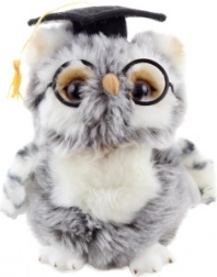 Pluche uil Afgestudeerd
