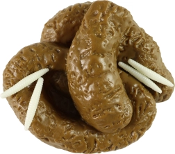 Nepoop met rupsen – realistische graprekwisiet