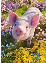 Cherry Pazzi puzzel Hou je van mij? 500 stukjes